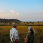 Cerrado