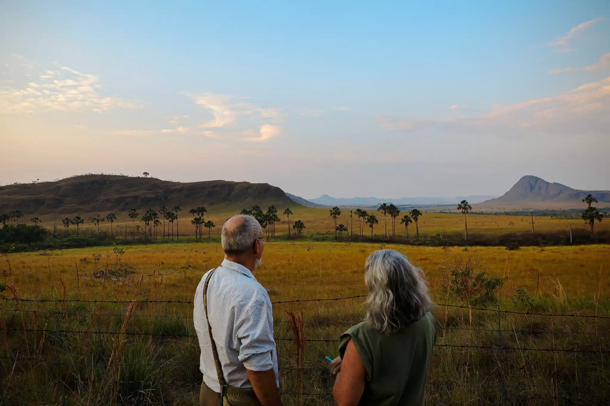Cerrado